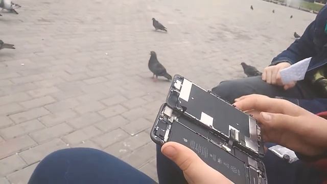 Складной телефон от аррle смотреть онлайн
