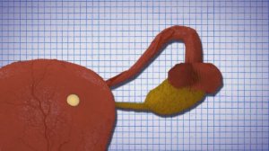 Как зачать ДВОЙНЯТ или БЛИЗНЕЦОВ (полное видео)????