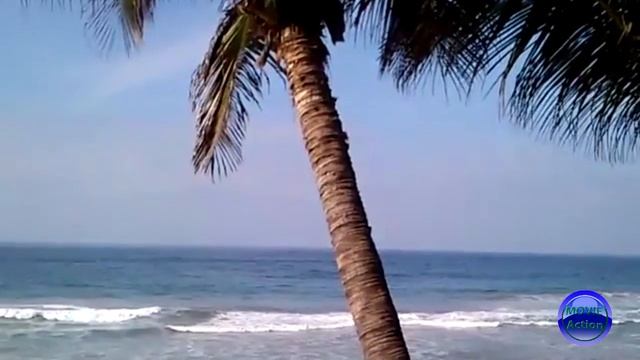 ПЯТЬ САМЫХ ОПАСНЫХ ПЛЯЖЕЙ МИРА / Five most dangerous beaches in the world смотреть онлайн