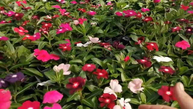 DIY Мастерская