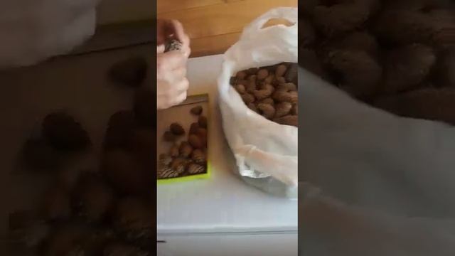 Кулинарный фестиваль