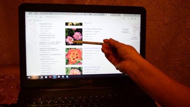 Лучшие розы из серии "Очаровательные глазки" смотреть онлайн