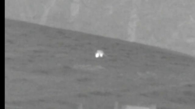 Pulsar HD38s fox with audio, смотреть онлайн