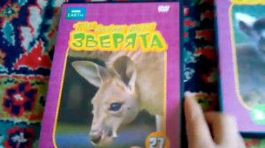 Мои диски 1 часть