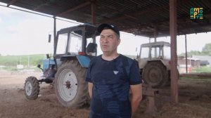 Овцеводство как бизнес для начинающего фермера / История успеха из Татарстана