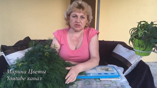 КУДРЯВОСТЬ УКРОПА . ИЗБЕГАЙТЕ ! смотреть онлайн