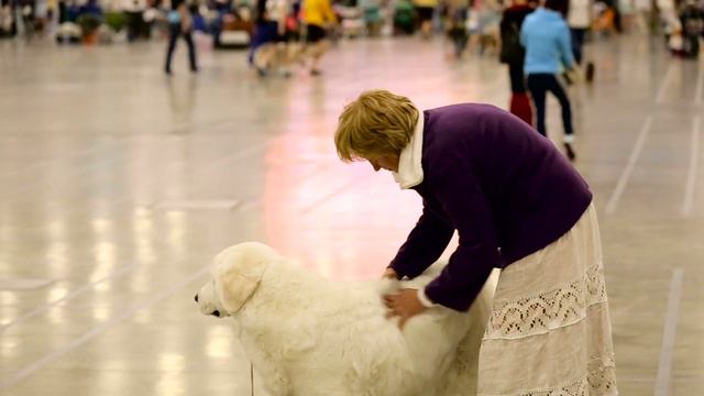 WDS-2016 первый день смотреть онлайн