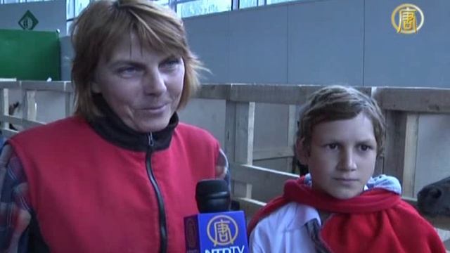 Как укротить строптивого пони. Экскурс в жизнь маленьких лошадок смотреть онлайн