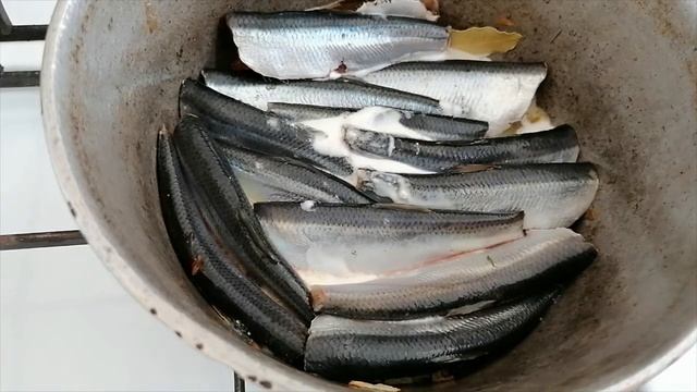 Как я тушу салаку в сметане // Если так сделать, любая рыба будет вкусной смотреть онлайн