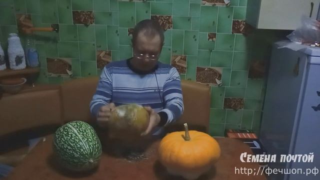 Хранение тыквы Семена лагенарии для прививки смотреть онлайн