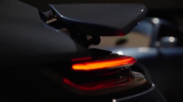 Comemorativo Porsche SALLY | Modelo ÚNICO | Porsche 911