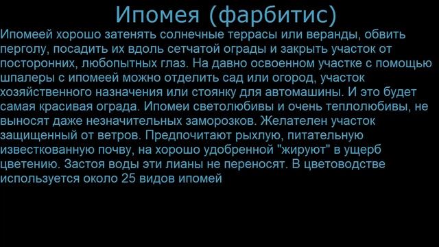 #Аконит вьющийся Турецкие #бобы #Ипомея Декоративные лианы3 однолетники Декоративные растения смотреть онлайн