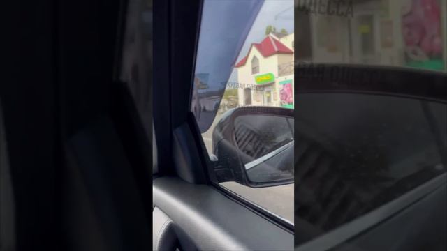 Беги Лес беги. Наперегонки с тцкашниками смотреть онлайн