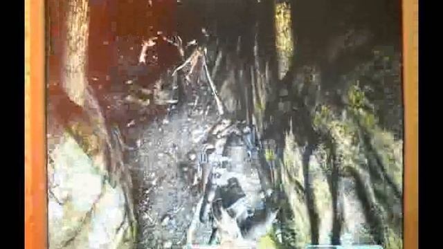 TES 5 skyrim на нет-буке