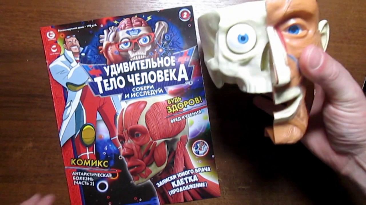 Удивительное тело человека | Centauria | 2 выпуск смотреть онлайн