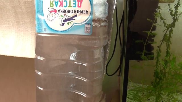 Артемия - разведение в домашних условиях! Просто и без заморочек) смотреть онлайн