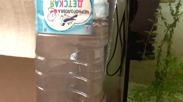 Артемия - разведение в домашних условиях! Просто и без заморочек)