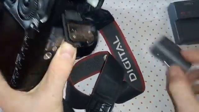 Canon Eos 40D смотреть онлайн