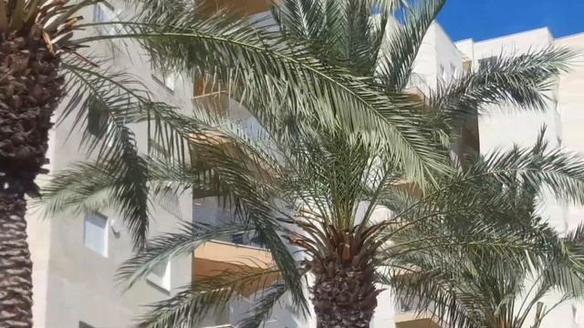 Финик пальчатый смотреть онлайн