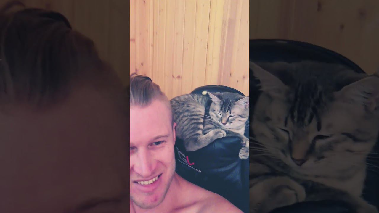 #shorts смотреть онлайн