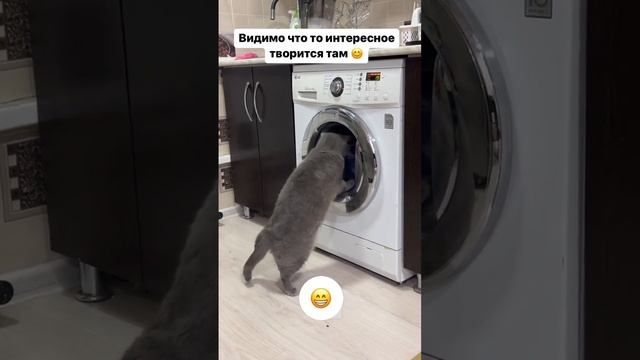 Легко определит любую поломку в вашей стиральной машинке ? смотреть онлайн