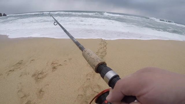 FINALLY!!! I Got Rid of my 2 Day Skunk Streak! смотреть онлайн