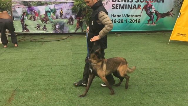 Seminar in Vietnam HANOI 16. - 20.1.2016 смотреть онлайн