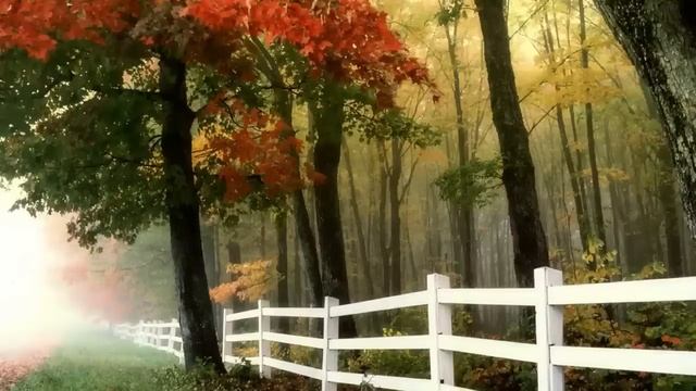 Я тебя больше не люблю! Я ухожу от тебя - выпалил муж. Но жена лишь улыбнулась. А потом выдала тако смотреть онлайн