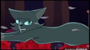 страшный сон Синей Звезды. Полное видео. КВ.