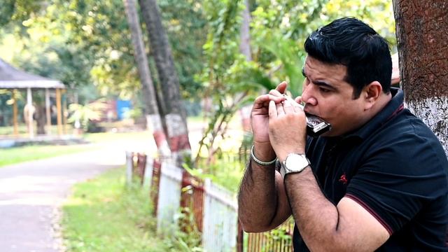 Kal Ho Na Ho | Best Of Bollywood On The Harmonica | Sonu Nigam | Shailesh Mogre | Instrumental смотреть онлайн