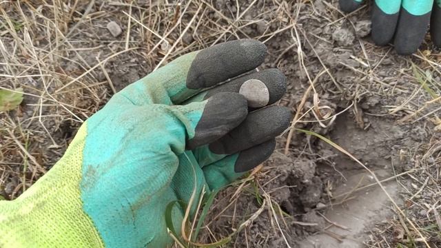 ПЕРО УДАЧИ! ЛОПАТА ЛИЛИПУТА КОПАЕТ СЕРЕБРЯННЫЕ МОНЕТЫ СРЕДНЕВЕКОВЬЯ.КОП МОНЕТ 2020. МД В ЦЕЛЛОФАНЕ! смотреть онлайн