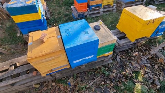 Старший брат 6-ти рамочника.Выставка пчеловодства в Киеве 27-29 октября смотреть онлайн