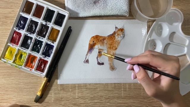 Как нарисовать рысь карандашом и акварелью начинающим | Рисунок для детей смотреть онлайн