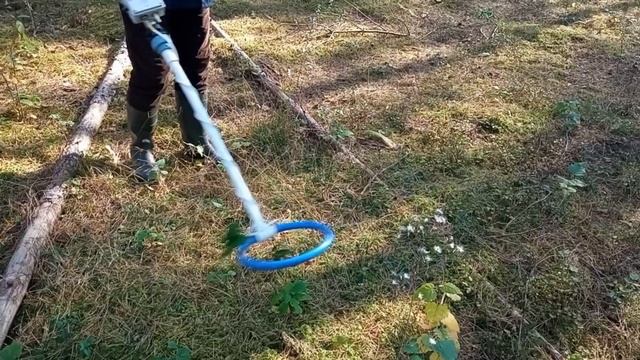 Копаем с металлоискателем пират смотреть онлайн