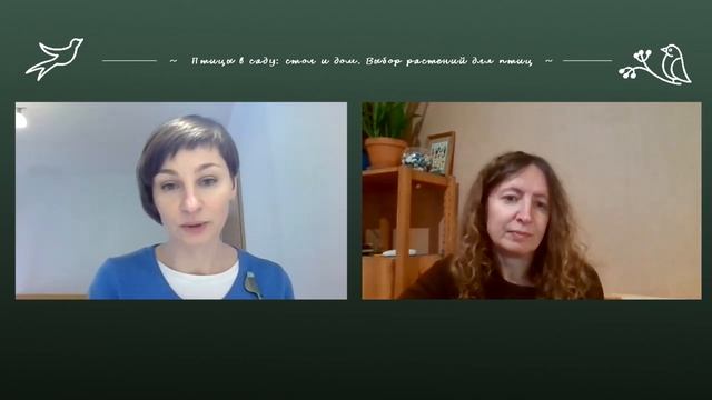 Какие растения привлекают птиц в сад смотреть онлайн