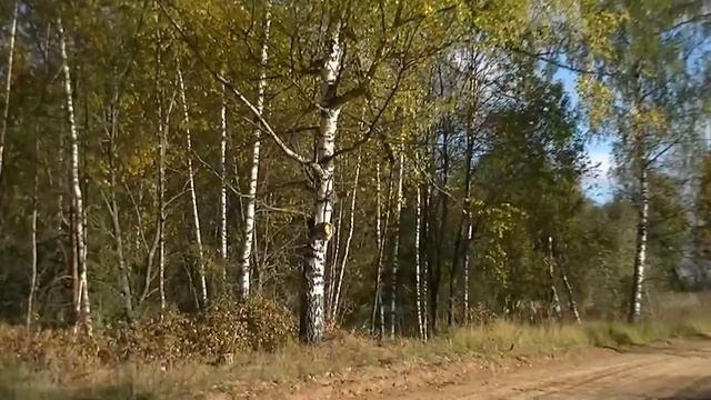 Осенний пейзаж 3 - Заповедные места -1- смотреть онлайн