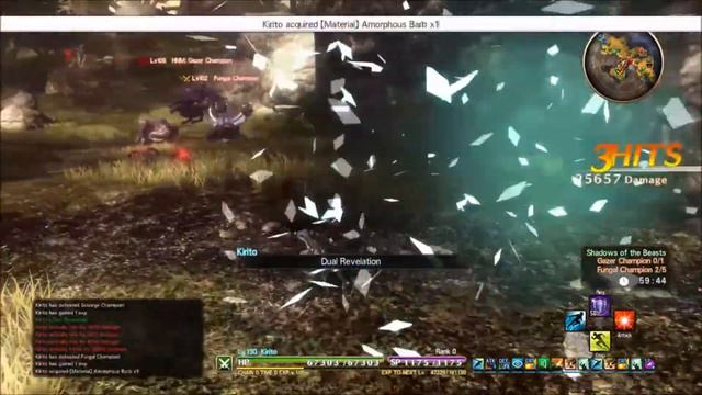HNM: Gazer Champion - Sword Art Online: Hollow Realization смотреть онлайн