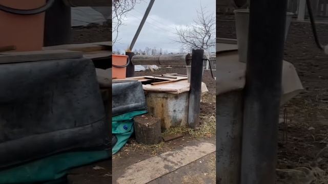 ВЕТЕРАН ПРО СТЫДНО БЫТЬ РУССКИМ