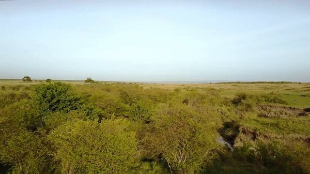 Притча. Так Это Ж Хорошо смотреть онлайн