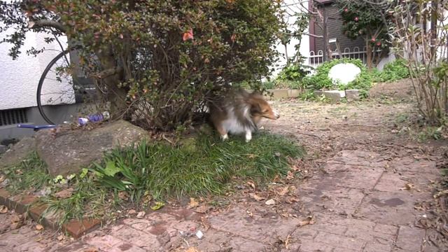 Panasonic UX-180 SuperSlow test 120p смотреть онлайн