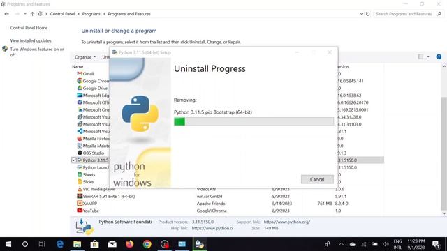 How to uninstall Python from Windows 10 смотреть онлайн