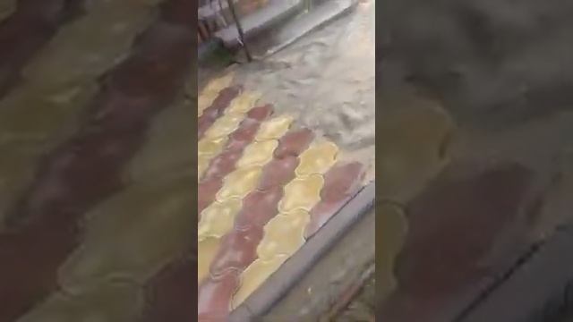 Укладка тротуарной плитки на даче под ключ смотреть онлайн