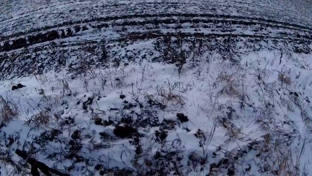 (МИ) Мини Манок Ирбиса "Лисёнок" в деле! Огненный Лисовин на подходе.Охота на лису с манком . смотреть онлайн