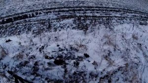 (МИ) Мини Манок Ирбиса "Лисёнок" в деле! Огненный Лисовин на подходе.Охота на лису с манком .