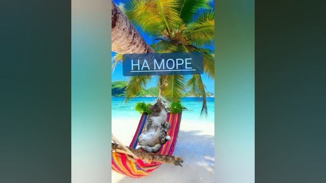 Пушистые друзья