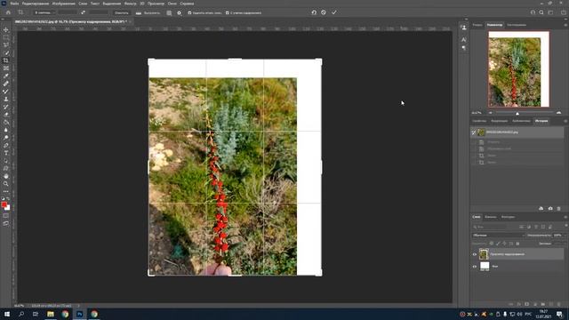 Photoshop 2021. Обзор инструмента рамка.