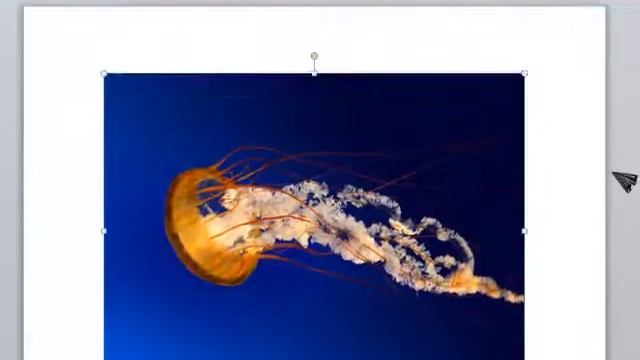 Como recortar un imagen en Microsoft Word 2010 смотреть онлайн