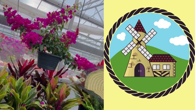 Window Plant Shopping at Hollandale, Trenton, Ontario - Arlene Vasquez смотреть онлайн