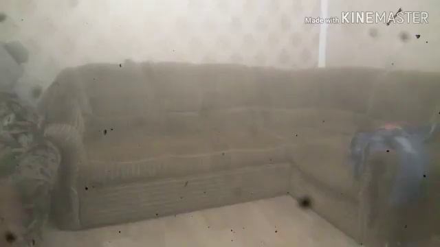 КОРОЧЕ ГОВОРЯ ЗАБЛОКИРОВАЛИ КАНАЛ/ ТЭДИ/TEDI