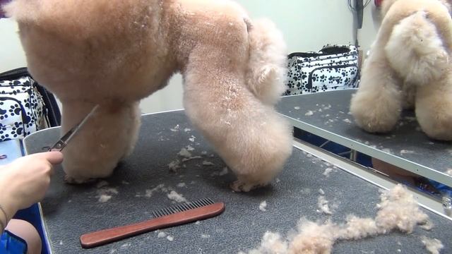Show dog grooming Vol. 2, www.chanson.ee смотреть онлайн